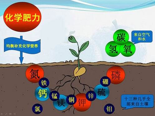 醫用微量元素檢測儀對作物缺素病的識別