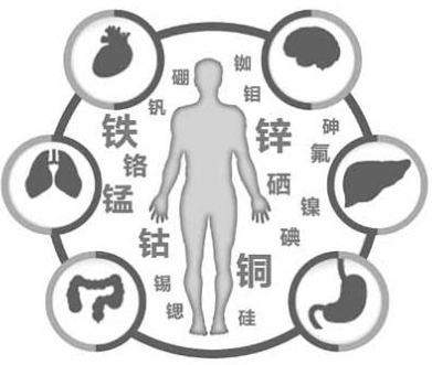 醫用微量元素分析儀為午夜在线影院的健康提供了保障