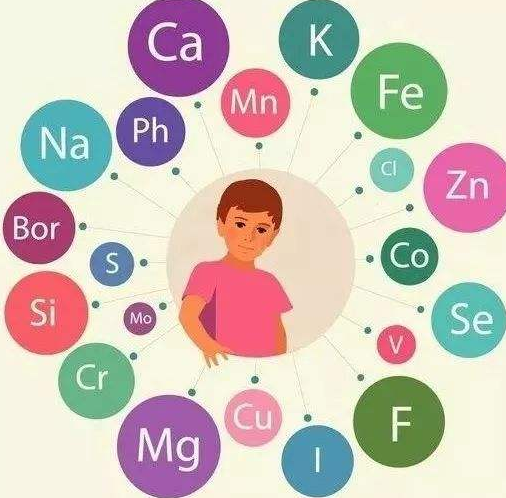 微量元素檢測儀廠家提醒補充微量元素的注意事項