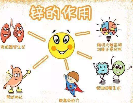 2020新款GK-1微量元素分析儀品牌國康剖析容易缺鋅的兒童類型