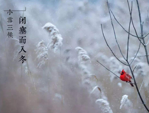全自動微量分析儀廠家山東國康提示您天冷了，照顧好自己！奧利給