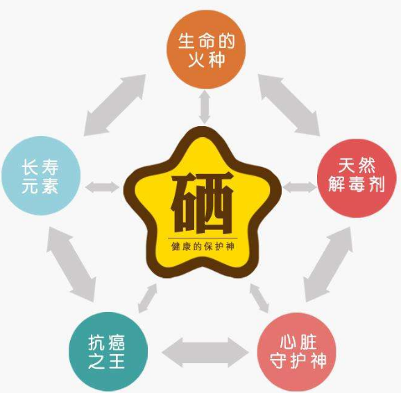 全自動微量元素分析儀廠家分析硒為何被稱為生命的火種？