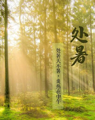 微量元素分析儀品牌國康提醒處暑每天做3件事情，健脾開胃，穩定出伏