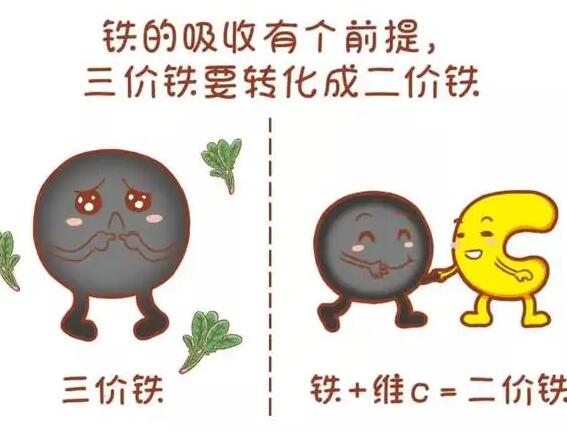 醫用微量元素分析儀廠家提醒大家鐵元素的重要性