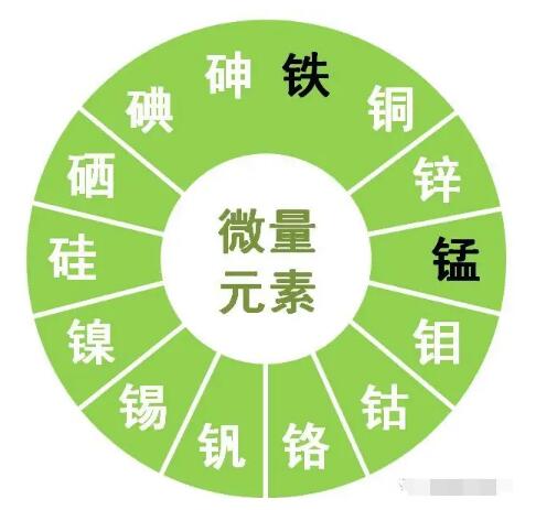 微量元素分析儀提示鋅、硒、錳、釩等微量元素對男性生育有哪些作用？
